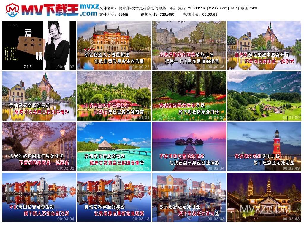 倪尔萍-爱情是杯穿肠的毒药_国语_流行_YE600116